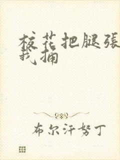 校花把腿张开让我捅