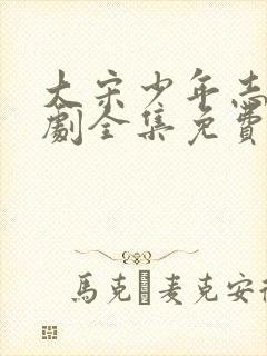 大宋少年志电视剧全集免费封面