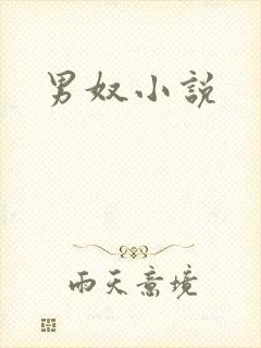 男奴小说