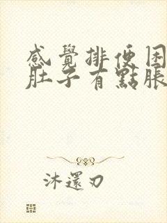 感觉排便困难,肚子有点胀是啥情况