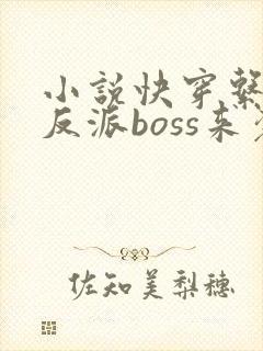 小说快穿系统之反派boss来袭