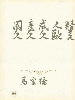 国产成人精品久久久久欧美封面