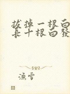 拔掉一根白发会长十根白发吗封面