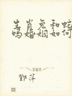 生肖兔和蛇相配吗婚姻如何