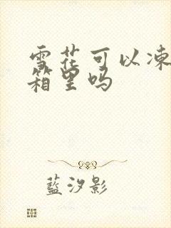 雪花可以冻在冰箱里吗