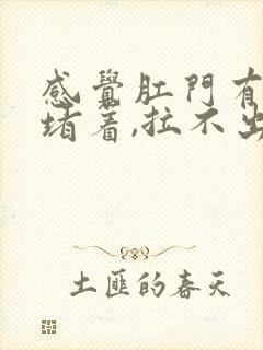 感觉肛门有大便堵着,拉不出来是