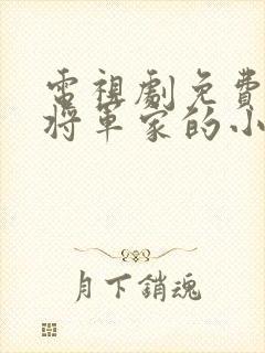 电视剧免费观看将军家的小娘子封面