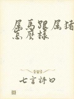 属马跟属猪姻缘怎么样