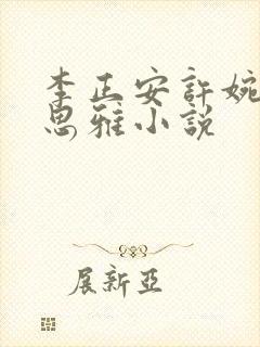 李正安许婉卿宋思雅小说封面