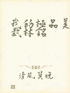 我的极品美女总裁林铭封面