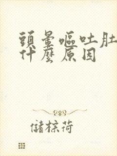 头晕呕吐肚子痛什么原因