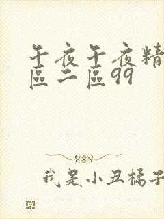 午夜午夜精品一区二区99封面