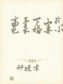 高手下山我的绝色未婚妻小说