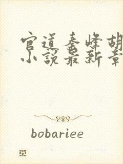 官道秦峰胡佳云小说最新章节列表