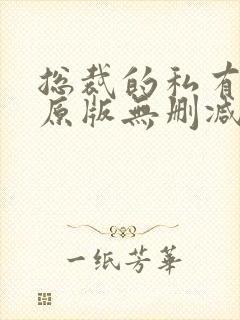 总裁的私有宝贝原版无删减