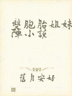 双胞胎姐妹齐上阵小说