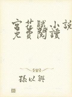 宫花赋小说全文免费阅读