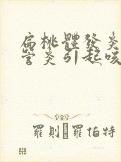 扁桃体发炎支气管炎引起咳嗽吃什么比较好