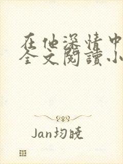 在他深情中陨落全文阅读小说封面