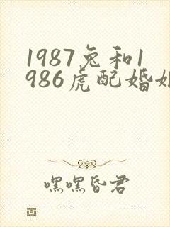 1987兔和1986虎配婚姻好不好