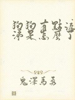 狗狗有点流清鼻涕是怎么了封面