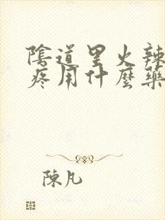 阴道里火辣辣的疼用什么药