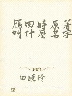 雁回时原著小说叫什么名字封面