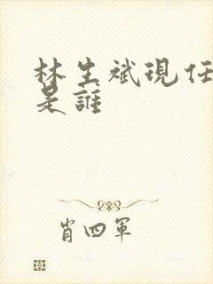 林生斌现任妻子是谁