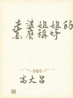 老婆姐姐的丈夫怎么称呼封面