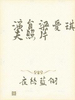 演员梁爱琪的丈夫照片