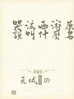 哭泣西游原著小说叫什么名字封面