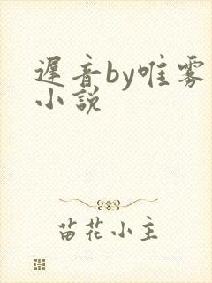 迟音by唯雾的小说