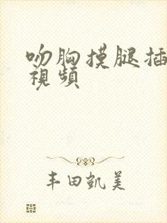 吻胸摸腿插进去视频