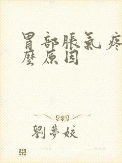 胃部胀气疼痛什么原因封面