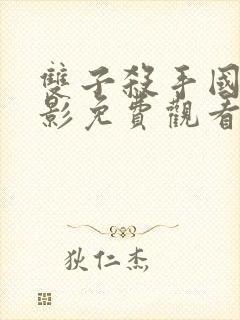 双子杀手国语电影免费观看封面