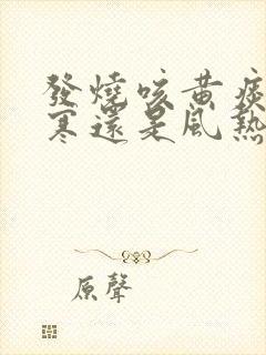 发烧咳黄痰是风寒还是风热封面