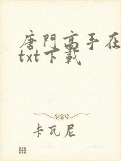 唐门高手在异世txt下载