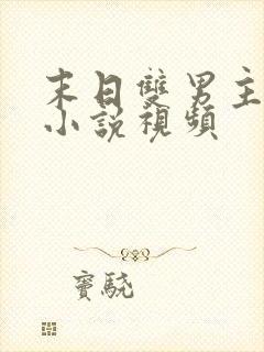 末日双男主病娇小说视频封面