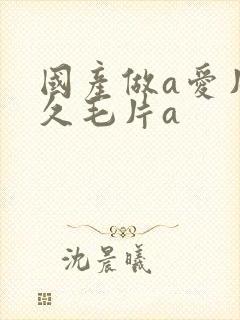 国产做a爱片久久毛片a