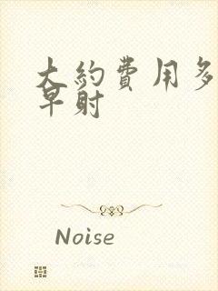 大约费用多少治早射封面