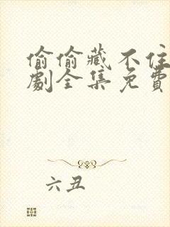 偷偷藏不住电视剧全集免费在线观看