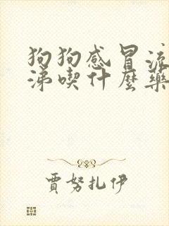 狗狗感冒流清鼻涕吃什么药好得快