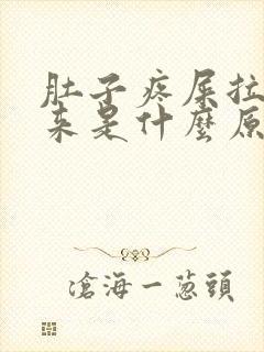 肚子疼屎拉不出来是什么原因