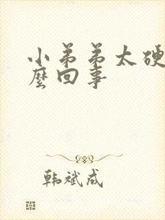 小弟弟太硬是怎么回事封面