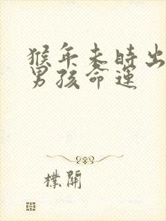 猴年未时出生的男孩命运