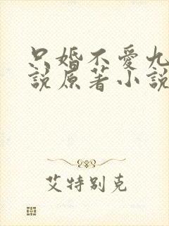 只婚不爱九醉小说原著小说叫什么名字