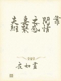 夫妻之间靠什么维系感情封面