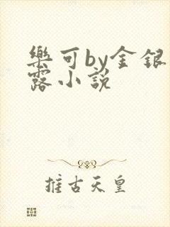 乐可by金银花露小说
