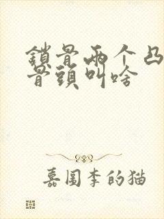 锁骨两个凸起的骨头叫啥封面