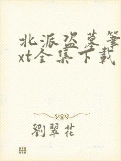 北派盗墓笔记txt全集下载完本免费封面